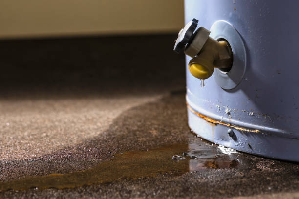Best Water damage restoration near me  in Chleston, AR