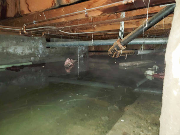  Chleston, AR Water damage restoration Pros