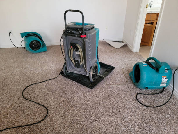 Best 24-hour water damage restoration  in Chleston, AR