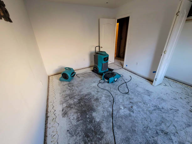 Best Water damage restoration experts  in Chleston, AR
