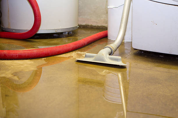 Best Residential water damage restoration  in Chleston, AR