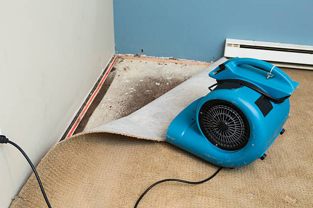 Best Flood restoration services  in Chleston, AR